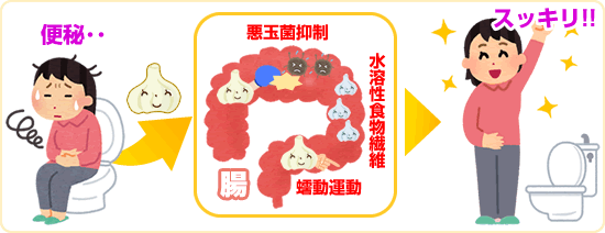 ニンニクの便秘・下痢予防・改善効果