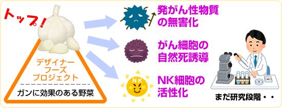 ニンニクの癌（ガン）予防・抑制効果