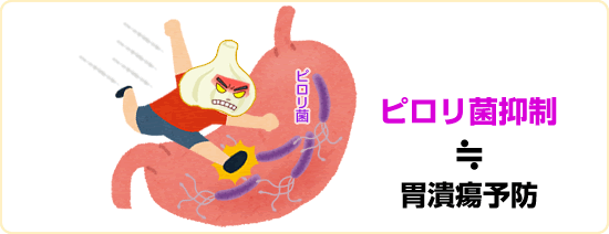 ニンニクの胃潰瘍・十二指腸潰瘍予防効果