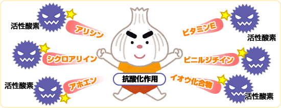 にんにくの活性酸素を除去する効能