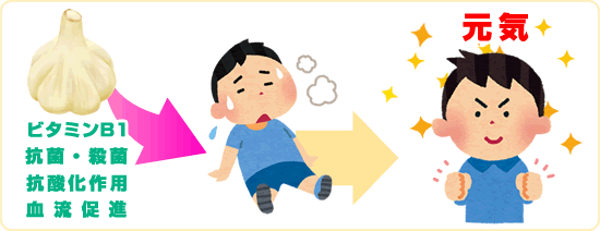 にんにくの疲労回復効果